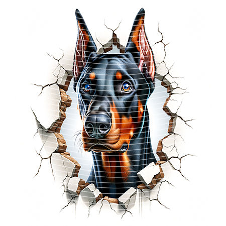 20oz integrate-EJ-8948